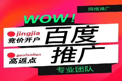百度竞价广告投放实战案例分享